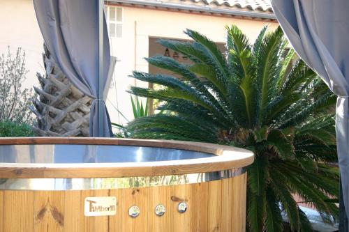 ein Holzfass mit einer Palme im Hof in der Unterkunft Maison Dix Chambres d'hôtes in Néffiès