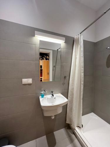 a bathroom with a sink and a shower and a toilet at Mariacka 13 Wygodne Spanie P6 Centrum in Katowice