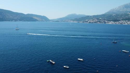 Gallery image of Villa del mare in Herceg-Novi