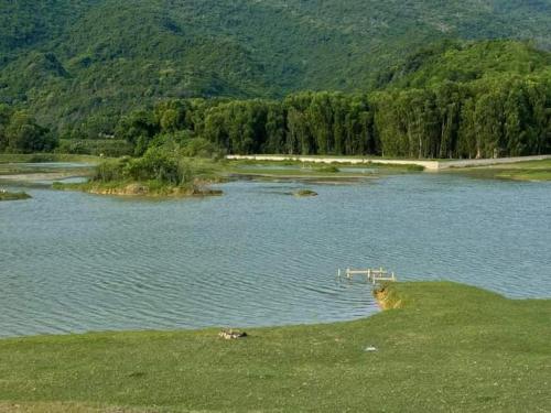 a large body of water with grass and trees at Nhà Lúa Homestay in Ninh Binh