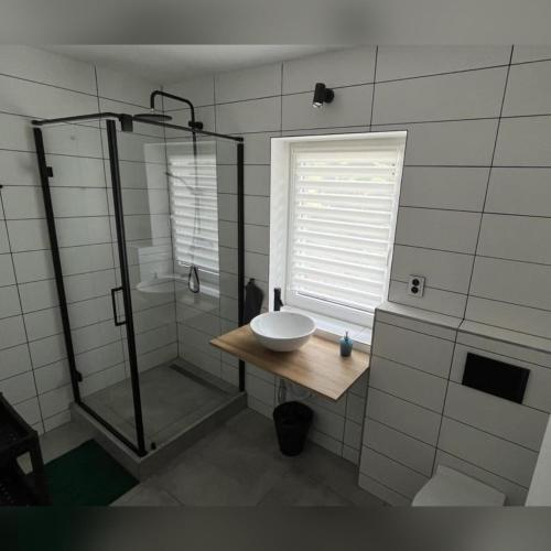 a bathroom with a shower and a sink and a sink at Apartmán Markéta in Lipno nad Vltavou