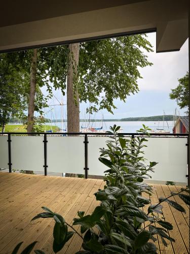 a plant sitting on a wooden table with a view of the water at Lago Apartamenty Domki in Niesulice
