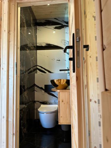 a bathroom with a toilet and a sink at Roomflacja Bałtyk in Sianozety