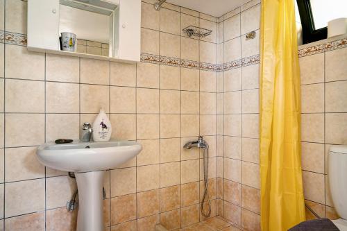 ein Bad mit einem Waschbecken und einer Dusche in der Unterkunft Vardia studio B in Mikros Gialos