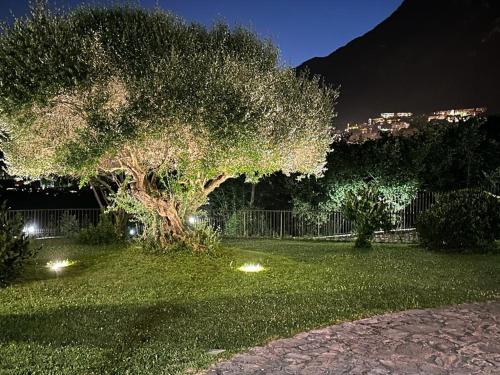 a tree in a yard with lights in the grass at Country House in Mercogliano