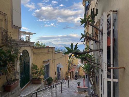 Tu Casa: Picturesque Guest House Napoli photo 18