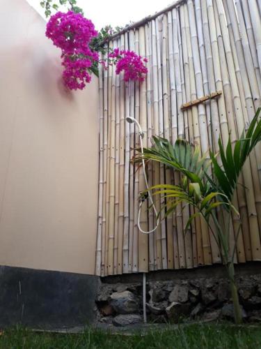 a fence with pink flowers on it next to a plant at Bujang Lapuk Hostel in Sekotong