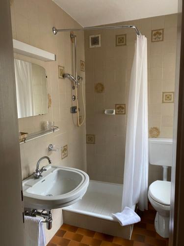 a bathroom with a shower and a sink and a toilet at Ciasa Soreghina in Colfosco