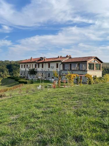 een groot huis op een heuvel met een groen veld bij Tenuta il Galletto in Casale Monferrato