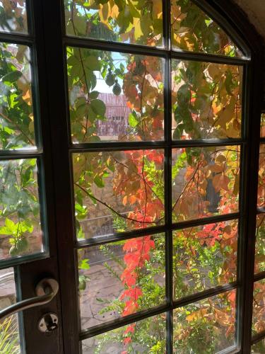 a window view of a tree with autumn leaves at Artists' Colony Inn Zefat in Safed