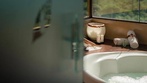 伊瓜蘇港的住宿－大克魯塞羅酒店，浴室水槽,花瓶旁边是窗户