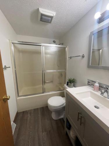 a bathroom with a shower and a toilet and a sink at Rye Beach Family Cottage in Huron