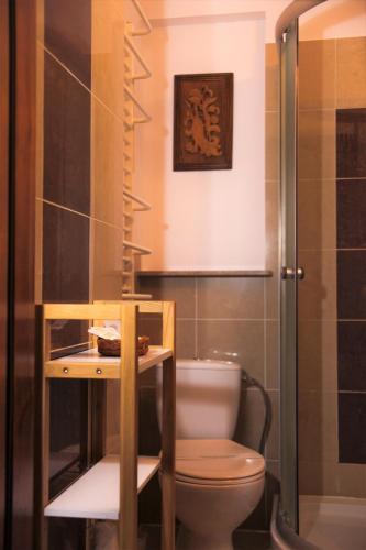 a small bathroom with a toilet and a shower at Willa Kazimiera in Kazimierz Dolny