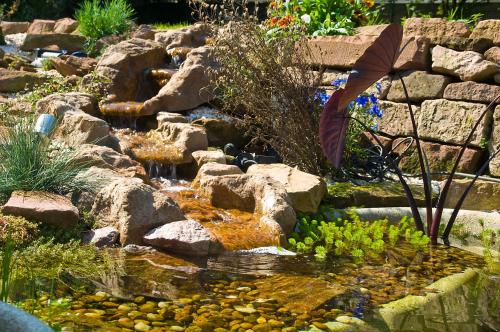 een tuin met een vijver met rotsen en een waterval bij Freyja in Beerfelden