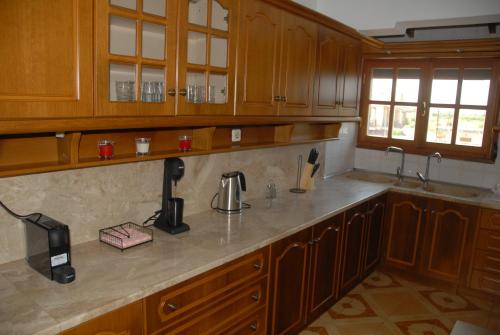 cocina con armarios de madera y encimera en Nasis Home & Apartments, en Mitikas