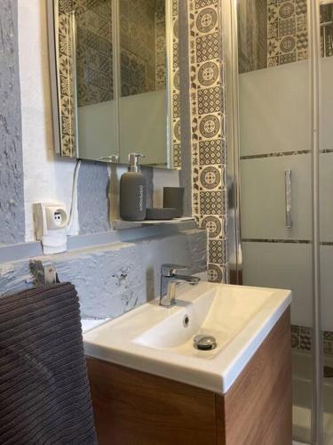 une salle de bain avec un lavabo et un miroir dans l'établissement Studio au cœur de Rouen, à Rouen