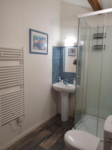 y baño con aseo, lavabo y ducha. en Chambre d'Hôtes Oiron, Deux Sevres - not near Taize, Burgundy, en Oiron