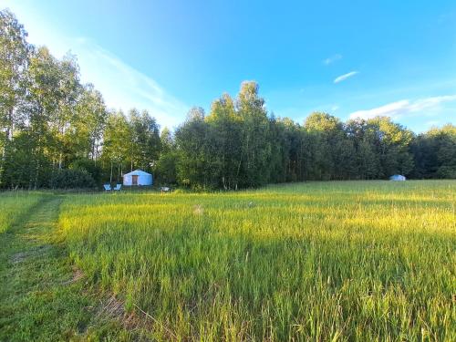 a field of tall grass with a white barn in the background at Glamping Yurt Purvs at Kleja Quiet Camping in Eikaži