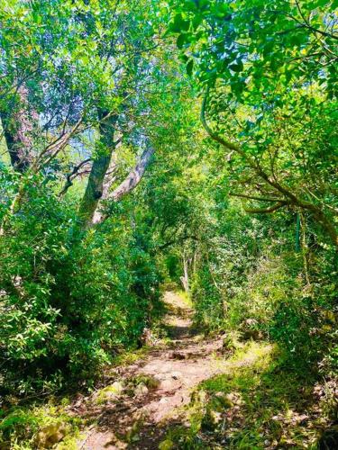 Un paisaje natural cerca de la villa