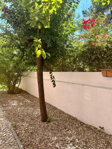 Gallery image of casa de praia in Charneca