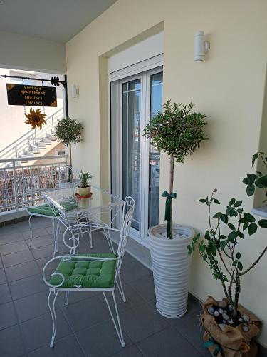 Vintage apartment Helios
