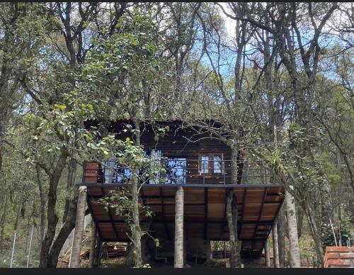 a tree house in the middle of some trees at Cabañas Everest in Mineral del Monte