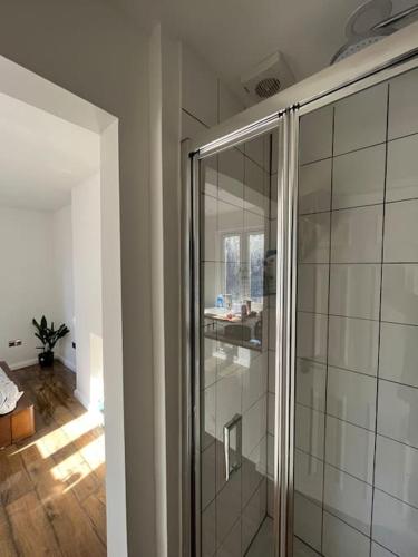 La salle de bains est pourvue d'une douche en verre. dans l'établissement Studio in the heart of London, à Londres