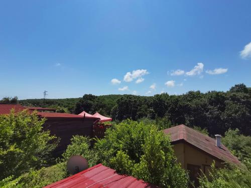 Φυσικό τοπίο κοντά σε αυτός ο ξενώνας