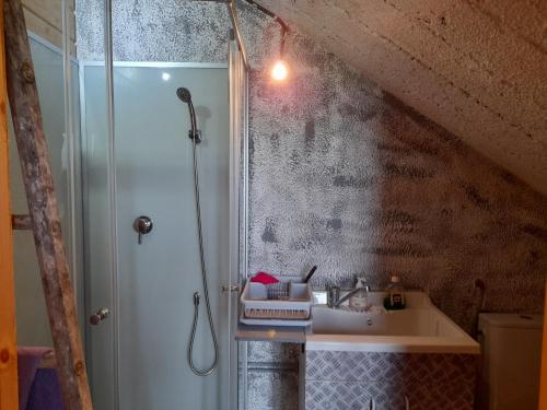 a bathroom with a shower and a sink at Maison Dougnac La Bohéme in Fleurance