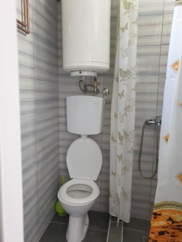 a small bathroom with a toilet and a shower at Kod nane Cane in Nova Varoš