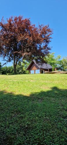 Mini Hill - Tiny House