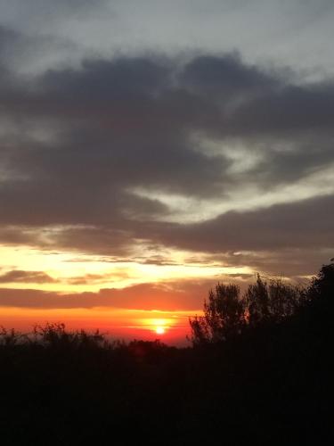 Pie de Monte – Photos 2