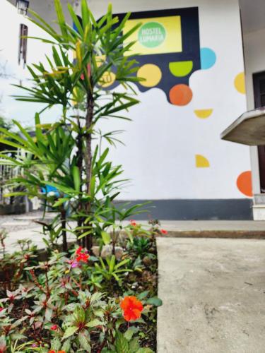 a palm tree in a flower garden in front of a building at Hostel Lumaria 1 in Blumenau