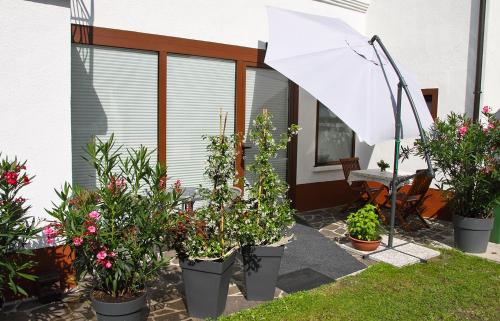 Apartment Baban in Žaga, Slovenia