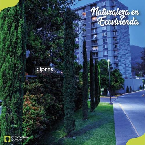 a group of trees in front of a building at Apartamento en Ecovivienda Fase 2 Tegucigalpa in Tegucigalpa