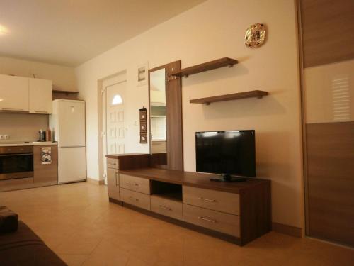 una sala de estar con TV de pantalla plana en un armario en Apartments Lana and Lili, en Preko
