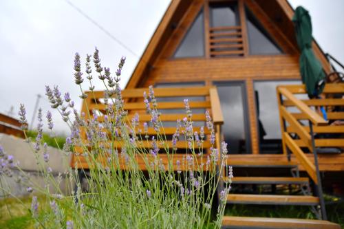 a cabin with a bench and flowers in front of it at Kazbegi Spa Resort Cottages in Stepantsminda