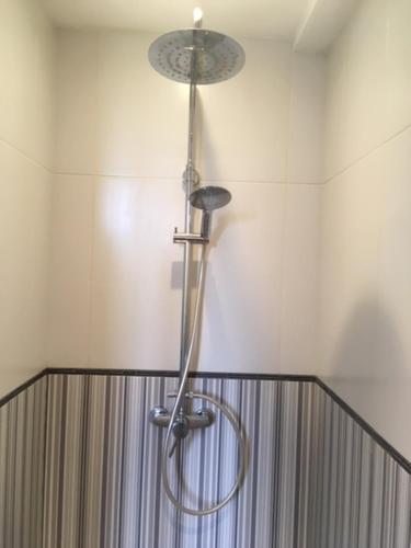 a shower head in a bathroom with a shower curtain at Les chambres d'Agath'ânes in Ganac