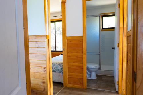 a bathroom with a toilet and a bed in a room at Cabañas Mirador Lago Ranco in Lago Ranco
