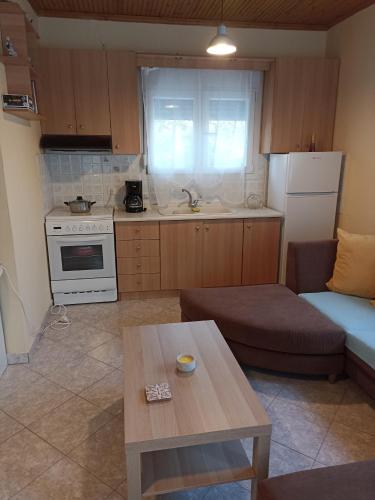Kuchyň nebo kuchyňský kout v ubytování private house