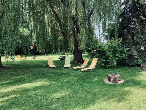 a group of chairs sitting in the grass under a tree at Agriturismo Villa Carlotta in Szilvásvárad