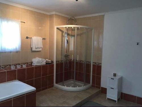 een badkamer met een douche en een wastafel bij Petite Maison au coin in Festalemps