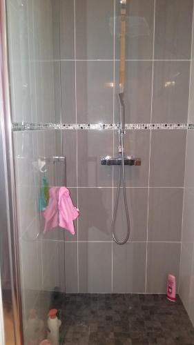 La salle de bains est pourvue d'une douche et d'une serviette rose. dans l'établissement ANDERNOS PRES DE LA PLAGE, à Andernos-les-Bains