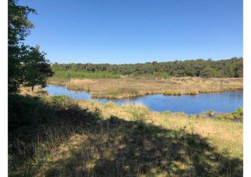 a body of water in the middle of a field at B&B 't Mjeels Pierke in Meerle