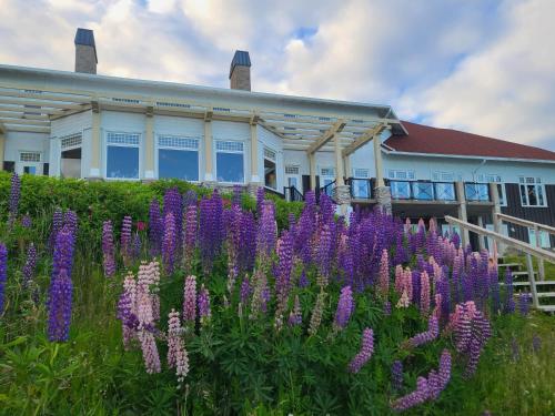 a field of purple flowers in front of a building at White Point Beach Resort in Summerville Centre