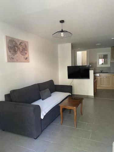 un salon avec un canapé et une table dans l'établissement maison lumineuse, à Villemoustaussou