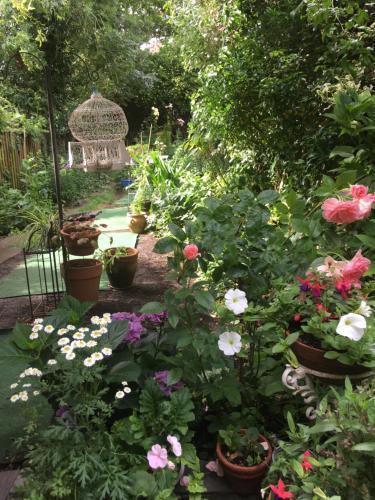 a garden with lots of flowers and a gazebo at Arts&BichonsB&B in Oxford