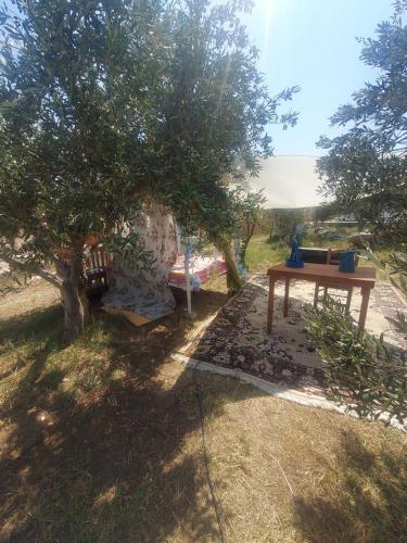 a picnic table and a bench under a tree at Suite under the stars in Kalymnos
