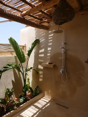 a bathroom with a shower and a plant in a room at Berber Beldi Camp in Imsouane