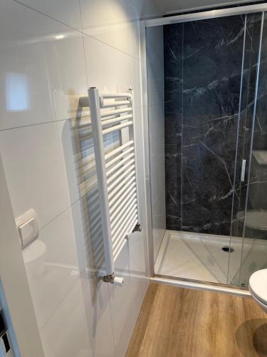 a bathroom with a shower with a glass door at Chalet de Blauwe regen in Balkbrug